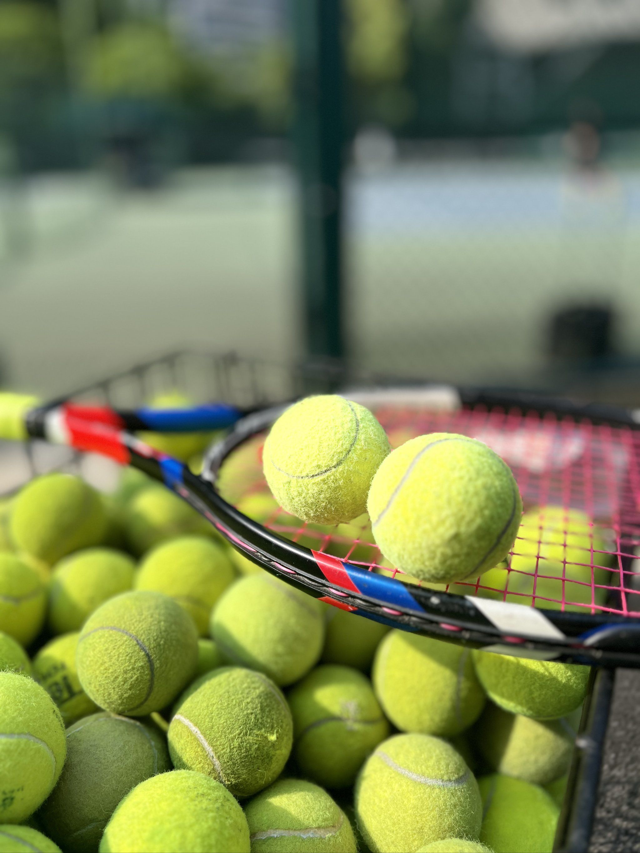 性和热爱 性和热爱