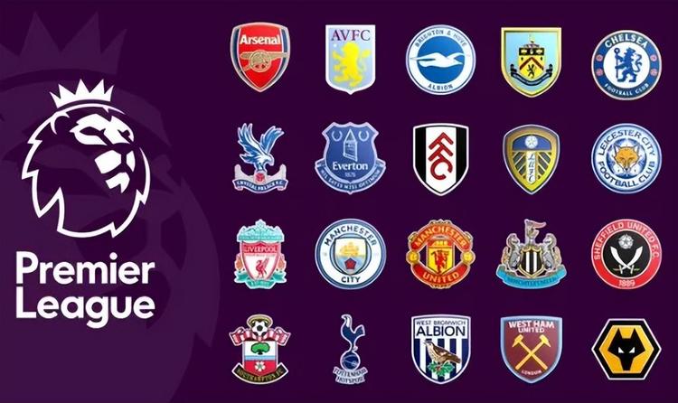 法国的经验 法国的经验