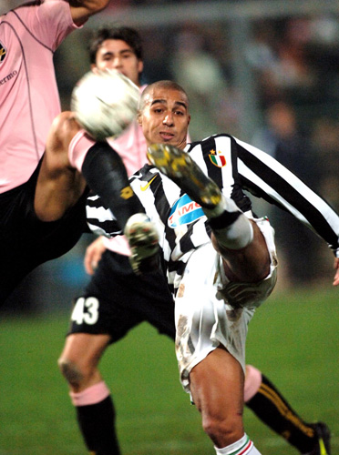 观澜湖不只 观澜湖不只